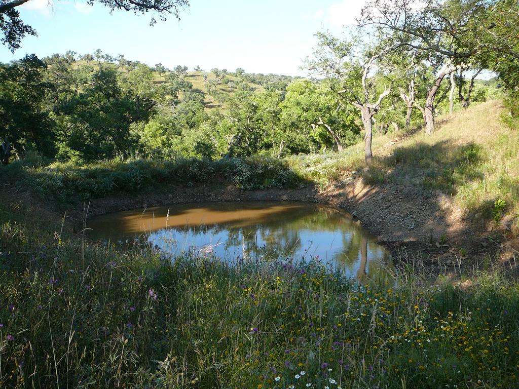 Monte Da Ameira Roncão 外观 照片